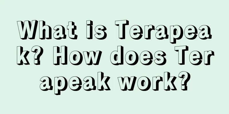 What is Terapeak? How does Terapeak work?