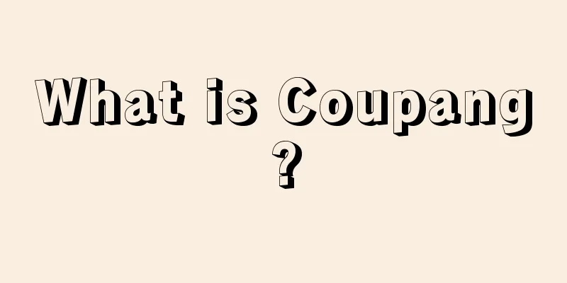 What is Coupang?