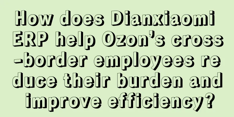 How does Dianxiaomi ERP help Ozon’s cross-border employees reduce their burden and improve efficiency?