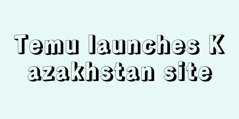 Temu launches Kazakhstan site