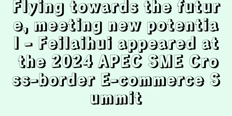 Flying towards the future, meeting new potential - Feilaihui appeared at the 2024 APEC SME Cross-border E-commerce Summit