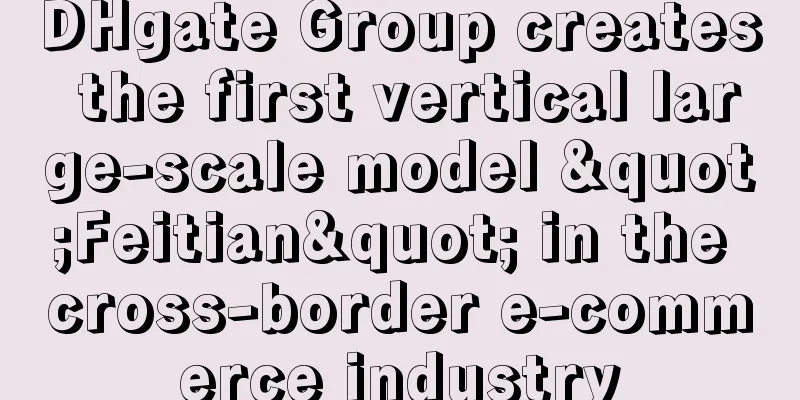 DHgate Group creates the first vertical large-scale model "Feitian" in the cross-border e-commerce industry