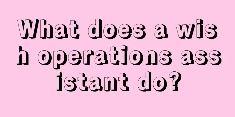 What does a wish operations assistant do?