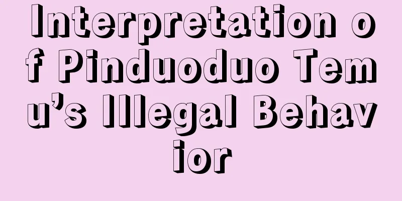 Interpretation of Pinduoduo Temu’s Illegal Behavior