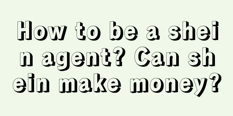 How to be a shein agent? Can shein make money?