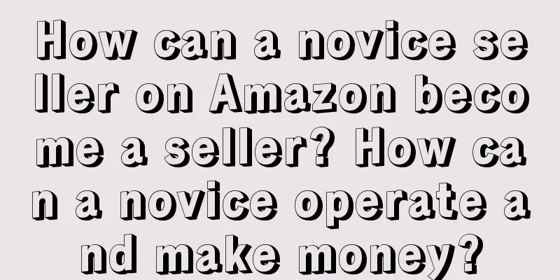 How can a novice seller on Amazon become a seller? How can a novice operate and make money?
