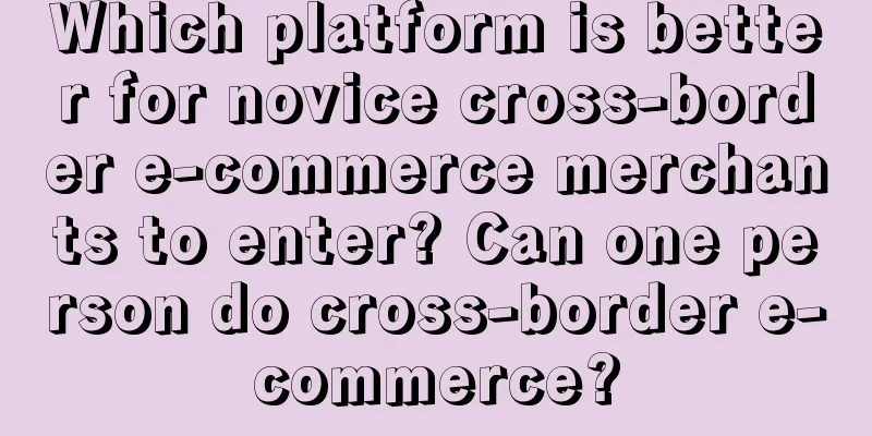 Which platform is better for novice cross-border e-commerce merchants to enter? Can one person do cross-border e-commerce?