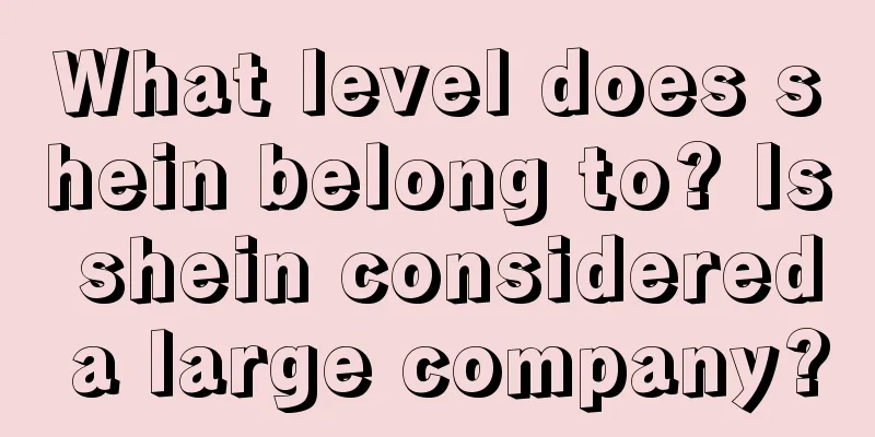 What level does shein belong to? Is shein considered a large company?