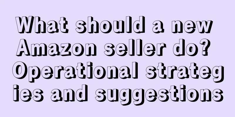 What should a new Amazon seller do? Operational strategies and suggestions