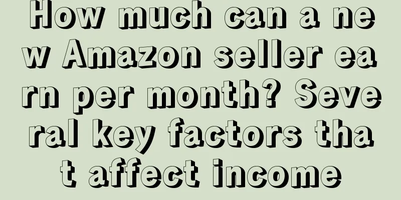 How much can a new Amazon seller earn per month? Several key factors that affect income