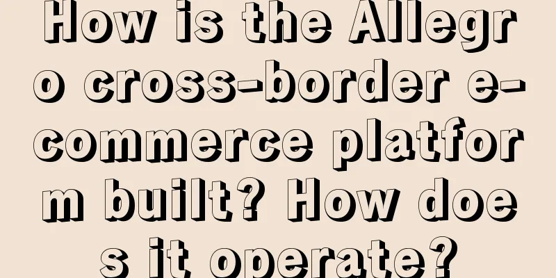 How is the Allegro cross-border e-commerce platform built? How does it operate?