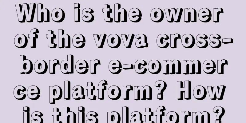 Who is the owner of the vova cross-border e-commerce platform? How is this platform?