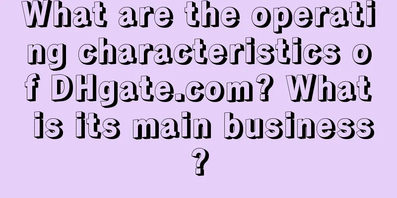 What are the operating characteristics of DHgate.com? What is its main business?