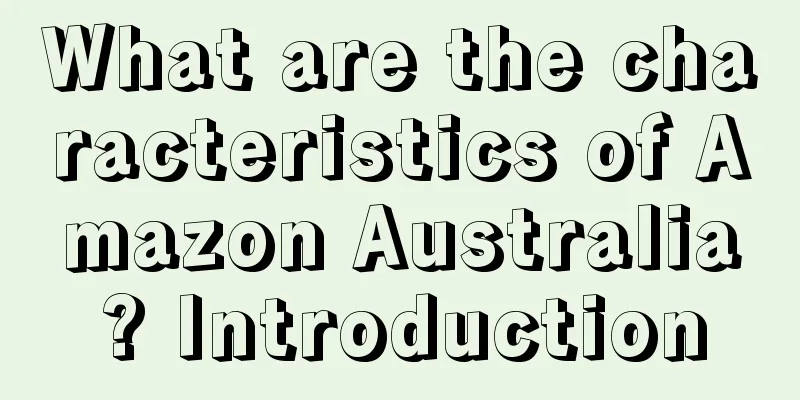 What are the characteristics of Amazon Australia? Introduction