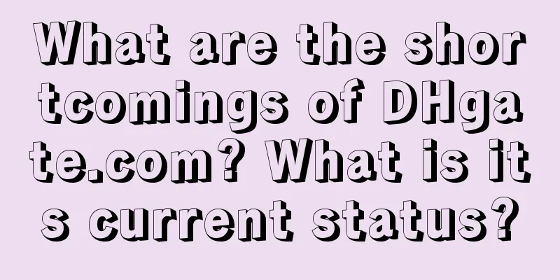 What are the shortcomings of DHgate.com? What is its current status?