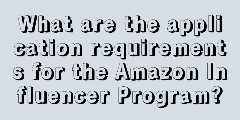 What are the application requirements for the Amazon Influencer Program?