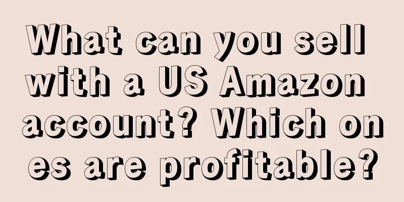 What can you sell with a US Amazon account? Which ones are profitable?