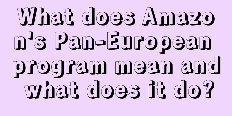 What does Amazon's Pan-European program mean and what does it do?