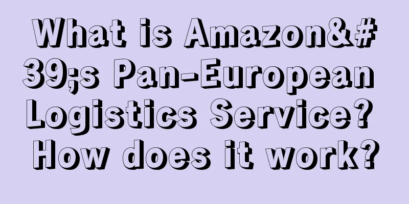 What is Amazon's Pan-European Logistics Service? How does it work?