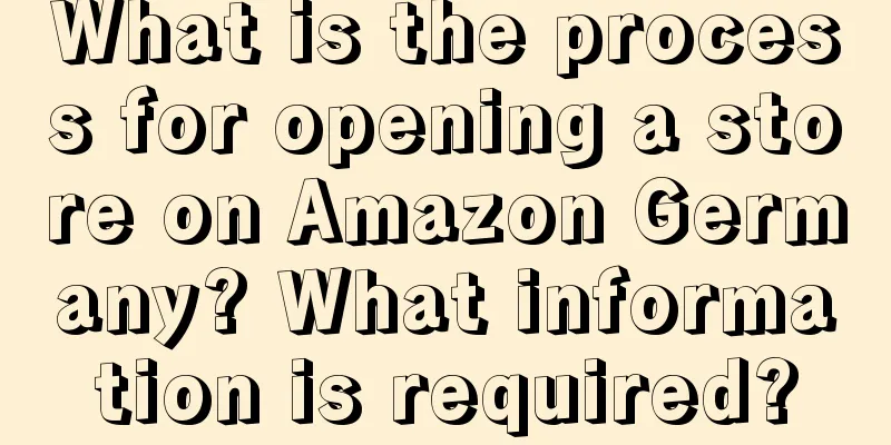 What is the process for opening a store on Amazon Germany? What information is required?