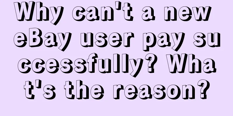 Why can't a new eBay user pay successfully? What's the reason?