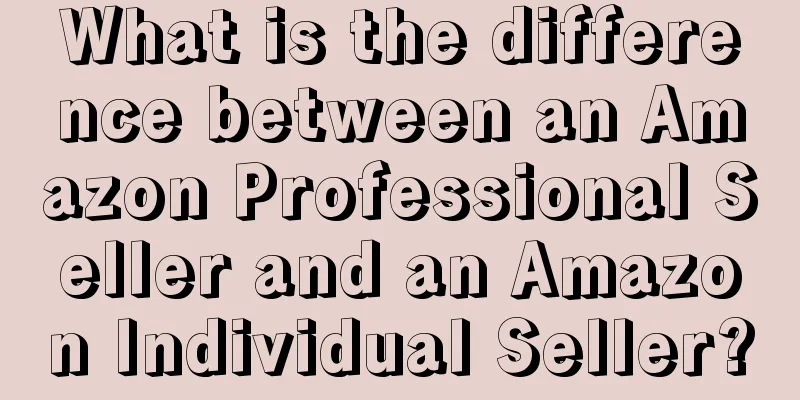 What is the difference between an Amazon Professional Seller and an Amazon Individual Seller?