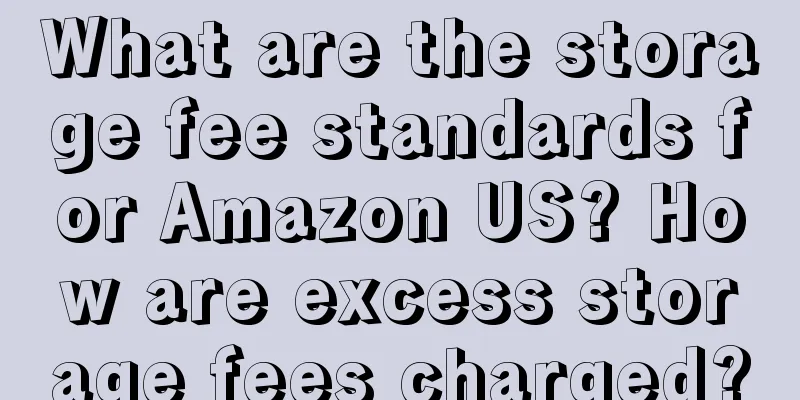 What are the storage fee standards for Amazon US? How are excess storage fees charged?