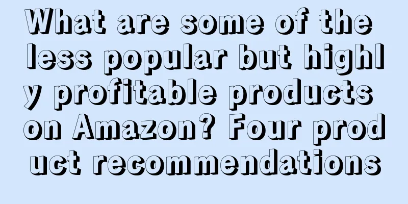 What are some of the less popular but highly profitable products on Amazon? Four product recommendations