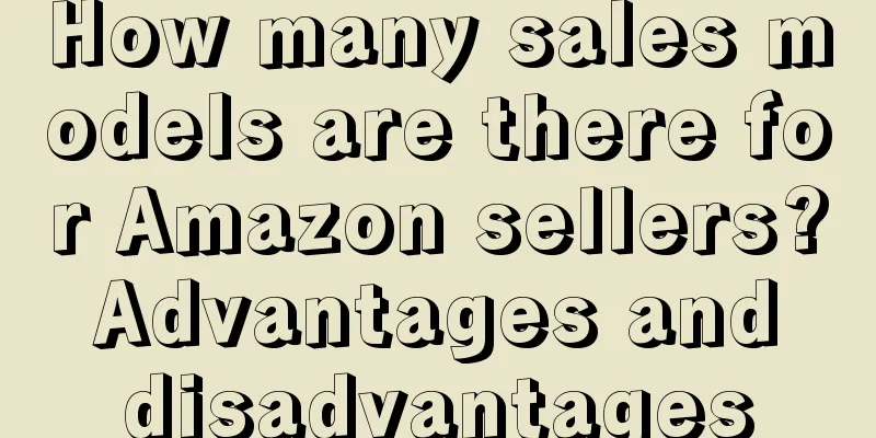How many sales models are there for Amazon sellers? Advantages and disadvantages