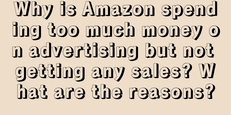 Why is Amazon spending too much money on advertising but not getting any sales? What are the reasons?