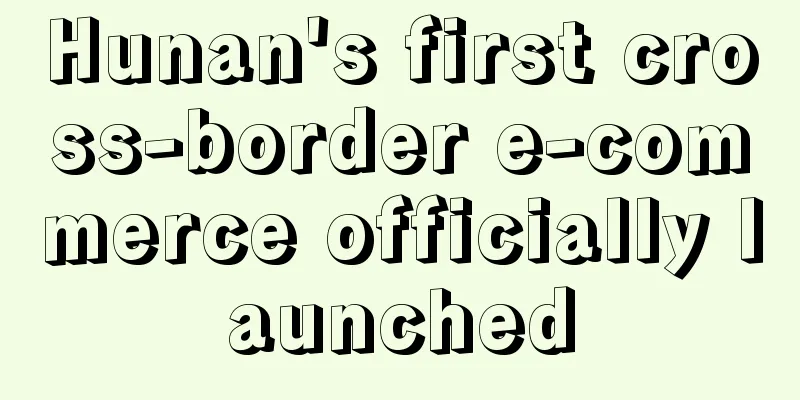 Hunan's first cross-border e-commerce officially launched