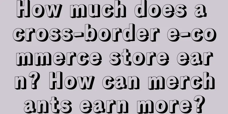 How much does a cross-border e-commerce store earn? How can merchants earn more?