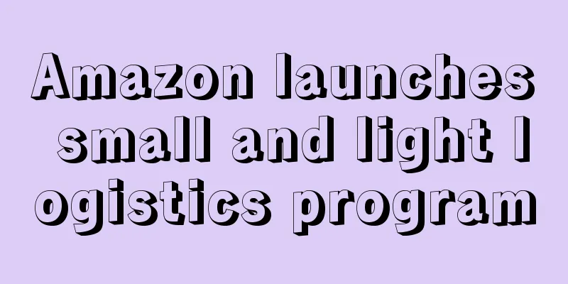 Amazon launches small and light logistics program
