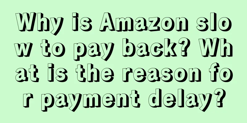Why is Amazon slow to pay back? What is the reason for payment delay?