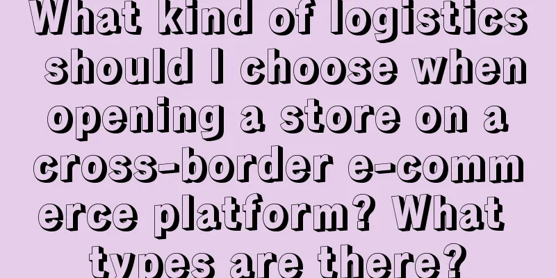 What kind of logistics should I choose when opening a store on a cross-border e-commerce platform? What types are there?