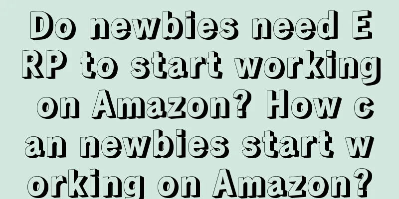 Do newbies need ERP to start working on Amazon? How can newbies start working on Amazon?