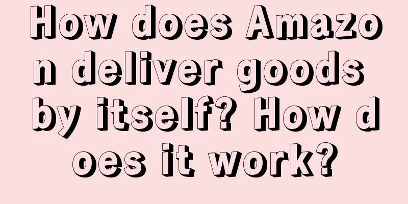 How does Amazon deliver goods by itself? How does it work?