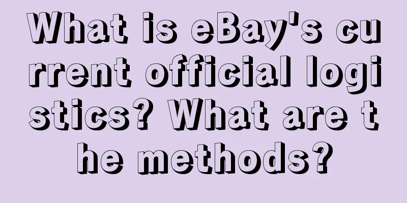 What is eBay's current official logistics? What are the methods?