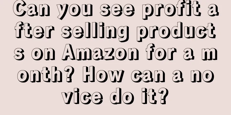Can you see profit after selling products on Amazon for a month? How can a novice do it?