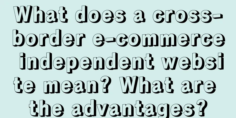 What does a cross-border e-commerce independent website mean? What are the advantages?