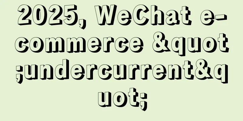 2025, WeChat e-commerce "undercurrent"
