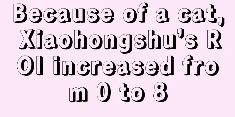 Because of a cat, Xiaohongshu’s ROI increased from 0 to 8