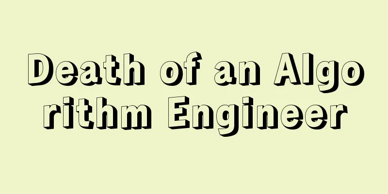 Death of an Algorithm Engineer