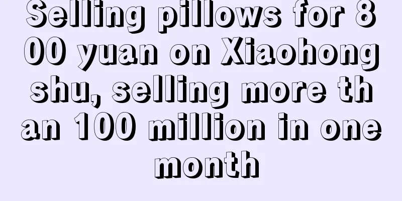 Selling pillows for 800 yuan on Xiaohongshu, selling more than 100 million in one month