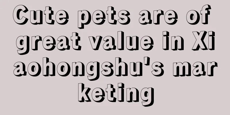 Cute pets are of great value in Xiaohongshu's marketing