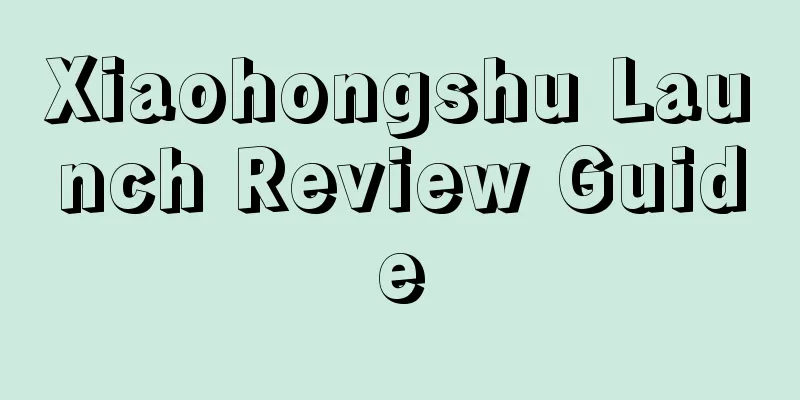 Xiaohongshu Launch Review Guide
