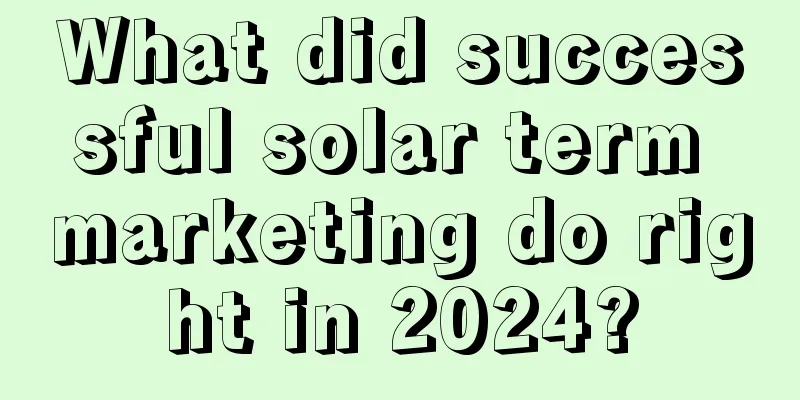 What did successful solar term marketing do right in 2024?
