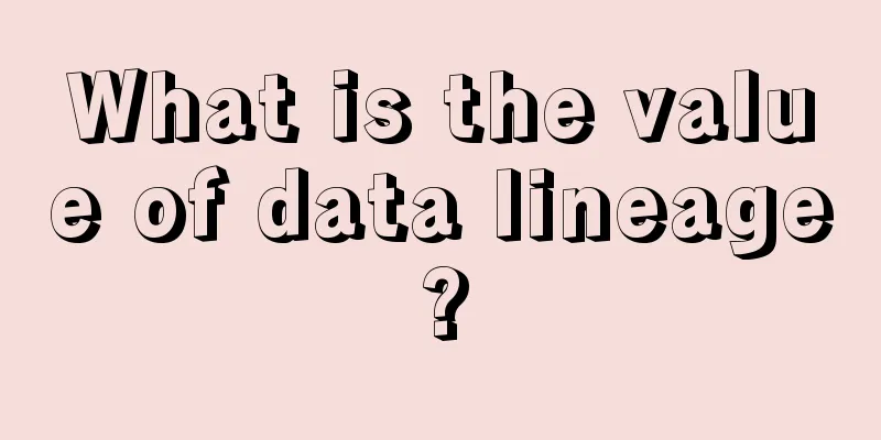 What is the value of data lineage?