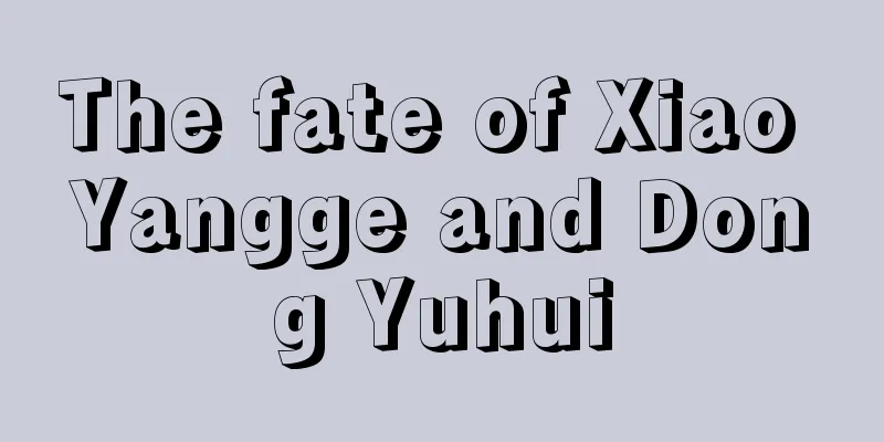 The fate of Xiao Yangge and Dong Yuhui