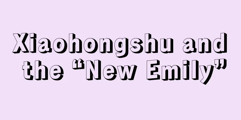 Xiaohongshu and the “New Emily”